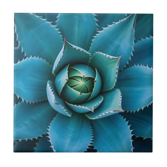 Vibrant Teal Agave Succulent Macro Geometric  Ceramic Tile (Front)