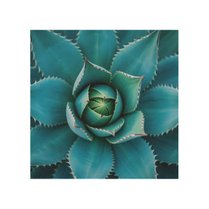 Vibrant Teal Agave Succulent Macro Geometric Wood Wall Art