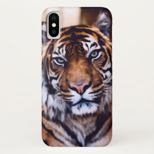 Pop Art Tiger Iphone Cases Covers Zazzle