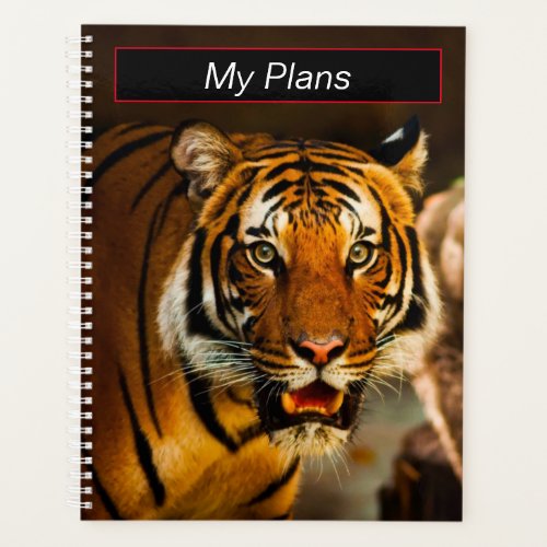 Vibrant Tiger picture Planner
