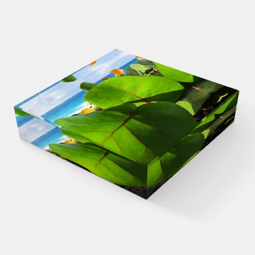 Vibrant Tropical Leaves Paperweight
