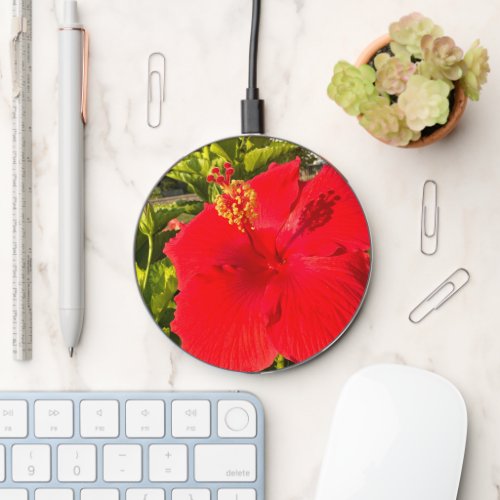 Vibrant Tropical Red Hibiscus Floral  Wireless Charger