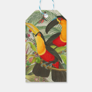 Vibrant Tropical Toucan Birds Art Exotic Jungle  Gift Tags