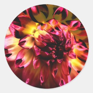 Vibrant Unique Flower Classic Round Sticker