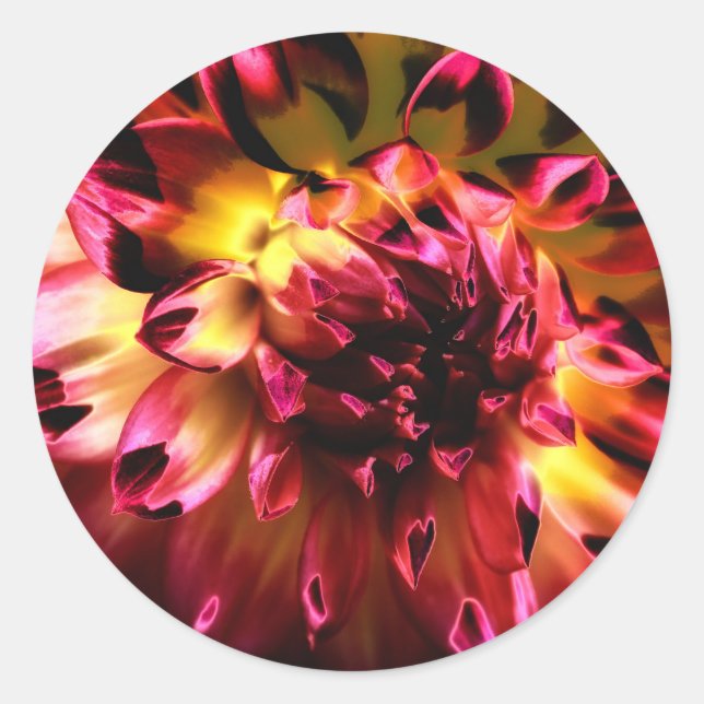 Vibrant Unique Flower Classic Round Sticker (Front)