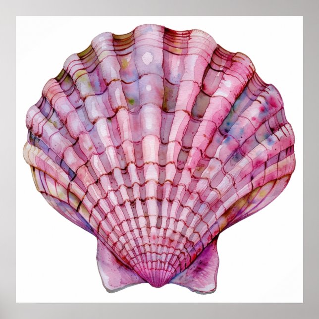 Vibrant watercolor pink seashell illustration poster (Front)