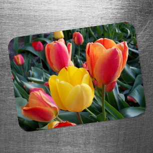 Vibrant Yellow and Red Tulips Garden Photo Magnet