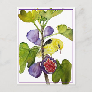 Vibrant Yellow Bird with Purple Figs Watercolor Holiday Postcard