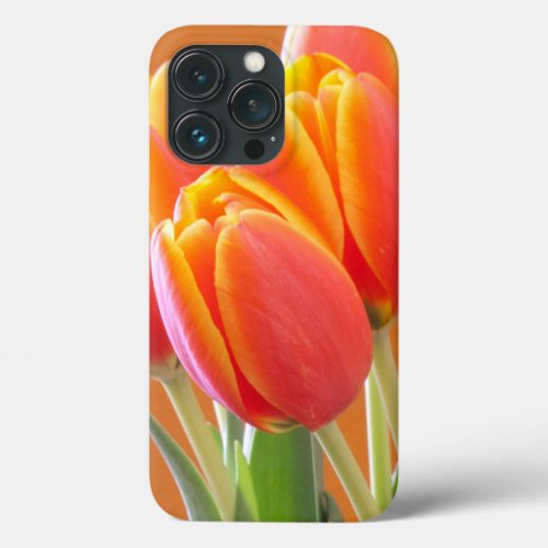 Vibrant Yellow Edged Orange Tulips Photograph iPhone 13 Pro Case