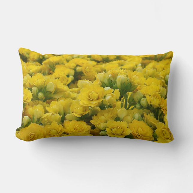 Vibrant Yellow Flowers Beautiful Nature Photograph Lumbar Pillow (Front)