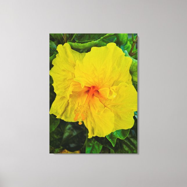 Vibrant Yellow Hibiscus Flower Canvas Print (Front)