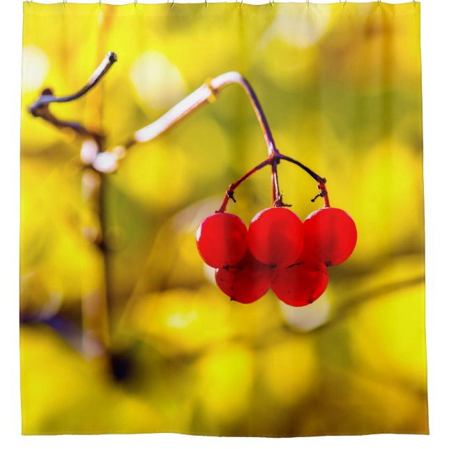 Viburnum Berries Champion Shower Curtain (Front)