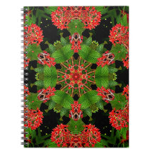 Viburnum Berries Kaleidoscope