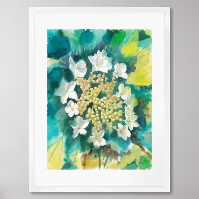 Viburnum Flowers Framed Art (Framed Front)