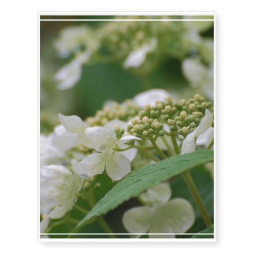 Viburnum Temporary Tattoos