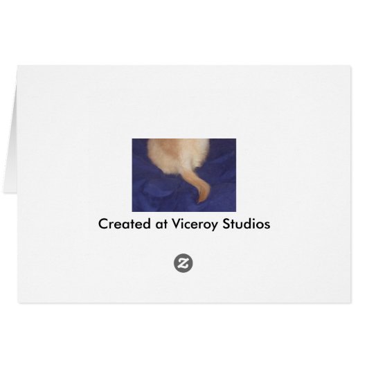 Viceroy at the Beach (Back Horizontal)