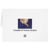 Viceroy at the Beach Cards (Back Horizontal)