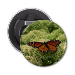 Viceroy Butterfly Beautiful Nature Photography Bottle Opener