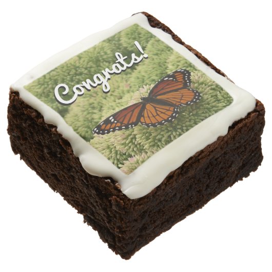 Viceroy Butterfly Beautiful Nature Photography Brownie (Angled)
