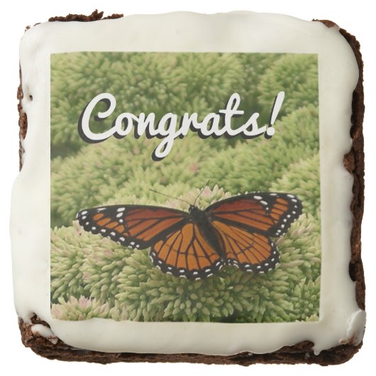 Viceroy Butterfly Beautiful Nature Photography Brownie (Front)