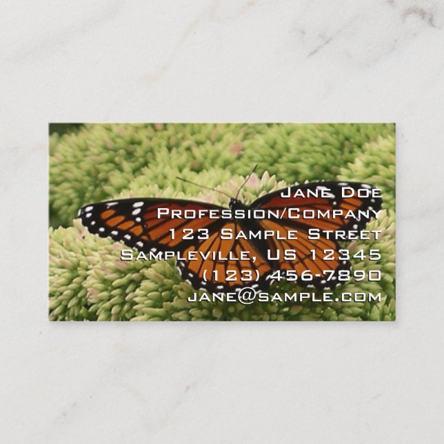 Viceroy Butterfly Beautiful Nature Photography Business Card (Front)