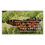 Viceroy Butterfly Beautiful Nature Photography Business Card Magnet