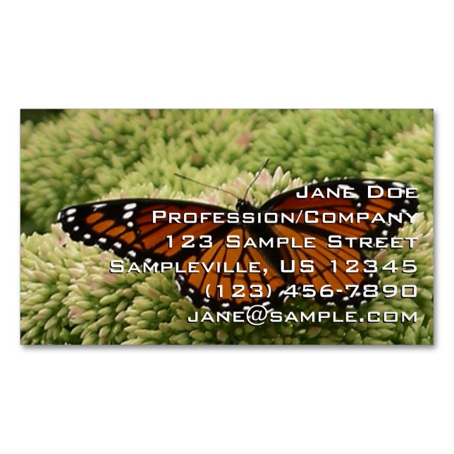 Viceroy Butterfly Beautiful Nature Photography Business Card Magnet (Front)