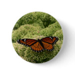 Viceroy Butterfly Beautiful Nature Photography Button