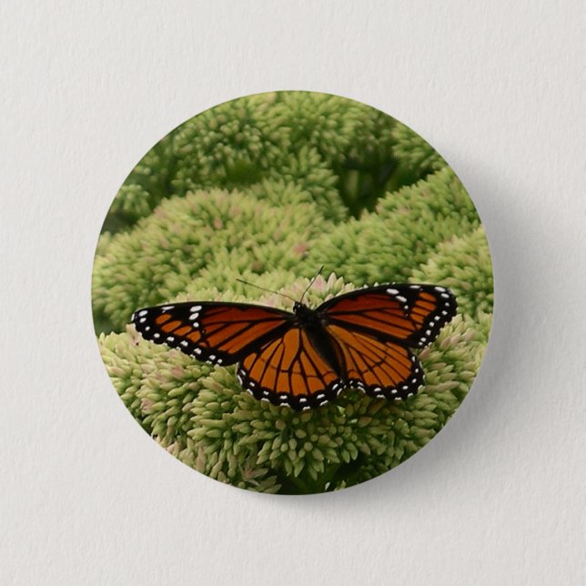 Viceroy Butterfly Beautiful Nature Photography Button (Front)