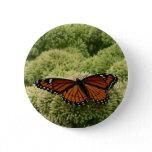 Viceroy Butterfly Beautiful Nature Photography Button