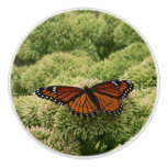 Viceroy Butterfly Beautiful Nature Photography Ceramic Knob