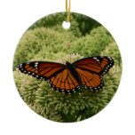 Viceroy Butterfly Beautiful Nature Photography Ceramic Ornament