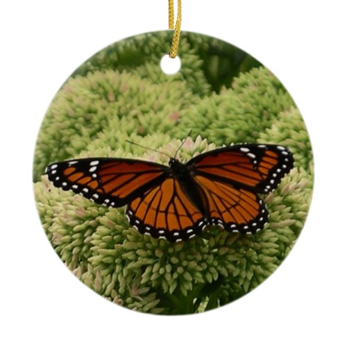 Viceroy Butterfly Beautiful Nature Photography Ceramic Ornament