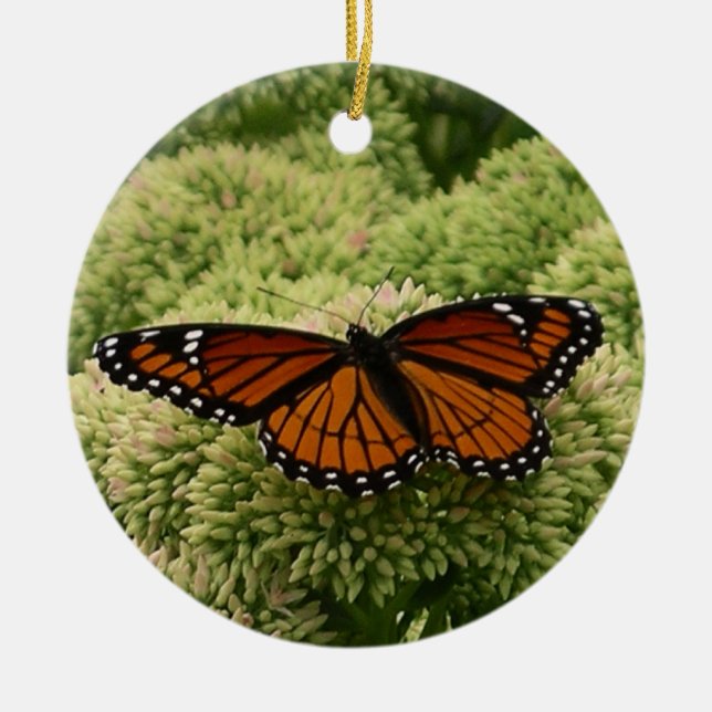 Viceroy Butterfly Beautiful Nature Photography Ceramic Ornament (Front)