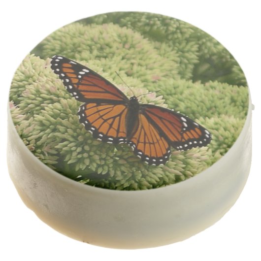 Viceroy Butterfly Beautiful Nature Photography Chocolate Covered Oreo (Angled)
