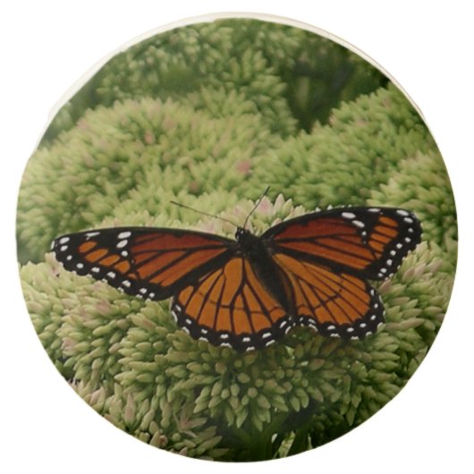 Viceroy Butterfly Beautiful Nature Photography Chocolate Covered Oreo (Front)