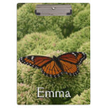Viceroy Butterfly Beautiful Nature Photography Clipboard