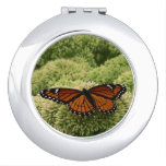 Viceroy Butterfly Beautiful Nature Photography Compact Mirror