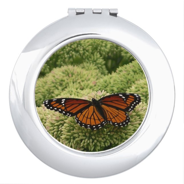 Viceroy Butterfly Beautiful Nature Photography Compact Mirror (Front)