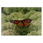 Viceroy Butterfly Beautiful Nature Photography Cutting Board