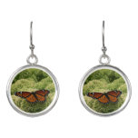Viceroy Butterfly Beautiful Nature Photography Earrings