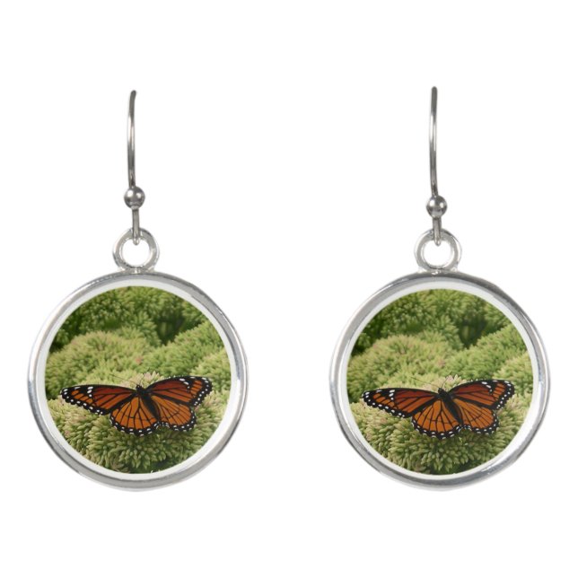 Viceroy Butterfly Beautiful Nature Photography Earrings (Front)