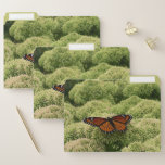 Viceroy Butterfly Beautiful Nature Photography File Folder