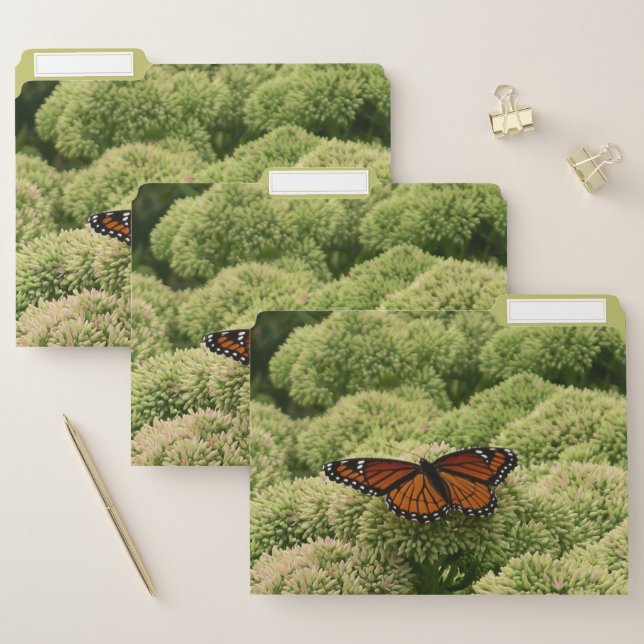 Viceroy Butterfly Beautiful Nature Photography File Folder (Set)