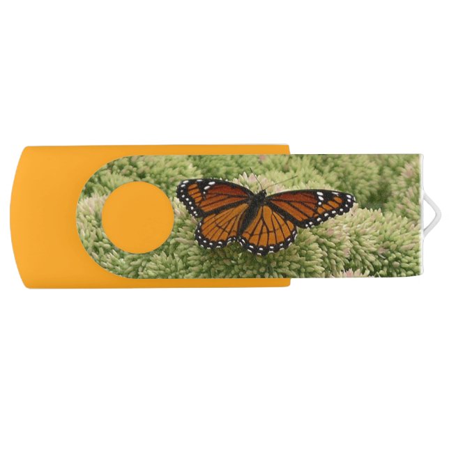 Viceroy Butterfly Beautiful Nature Photography Flash Drive (Front)
