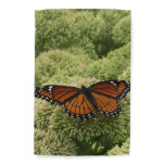Viceroy Butterfly Beautiful Nature Photography Garden Flag
