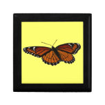 Viceroy Butterfly Beautiful Nature Photography Gift Box