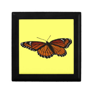 Viceroy Butterfly Beautiful Nature Photography Gift Box