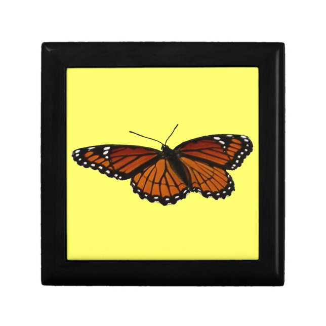 Viceroy Butterfly Beautiful Nature Photography Gift Box (Front)