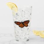 Viceroy Butterfly Beautiful Nature Photography Glass
